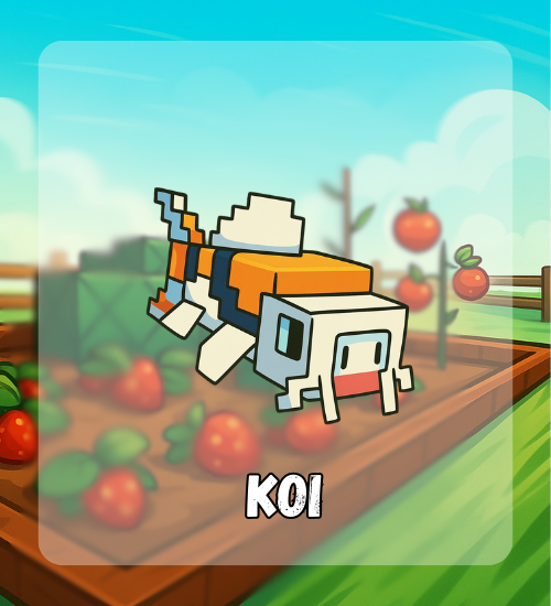 Koi
