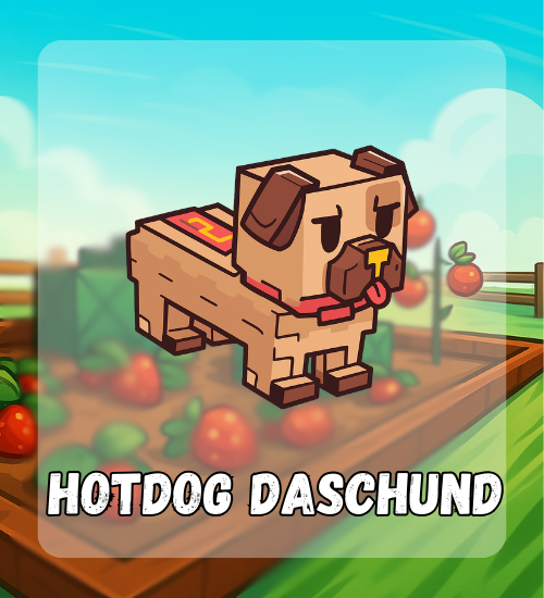 Hotdog Daschund