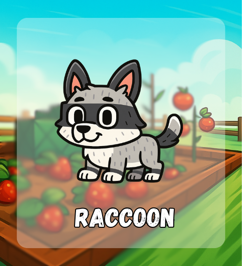 Raccoon