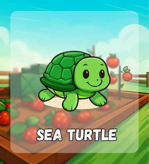 Sea Turtle