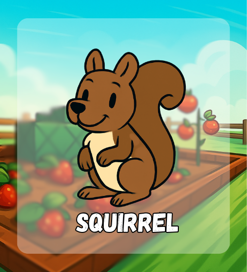 Squirrel