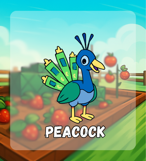 Peacock