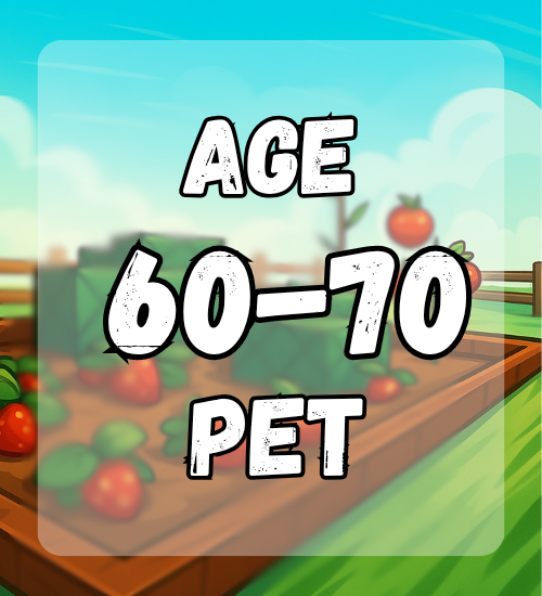 Age 60-70 Pet